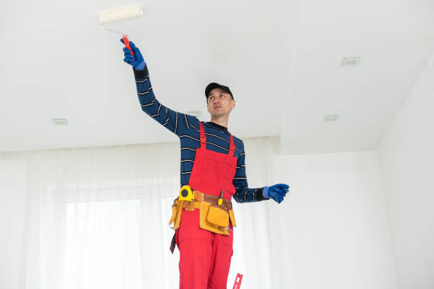 Best Water Damage & Mold Remediation  in El Lago, TX