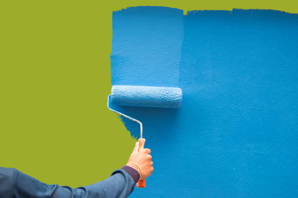 Professional Mold Removal in El Lago, TX
